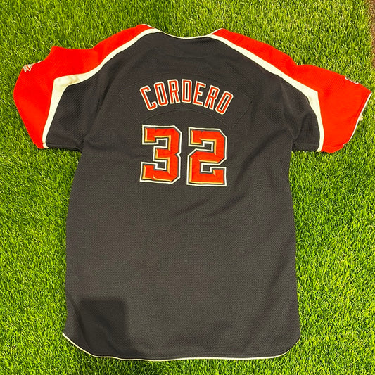 Nike Washington nationals baseball jersey