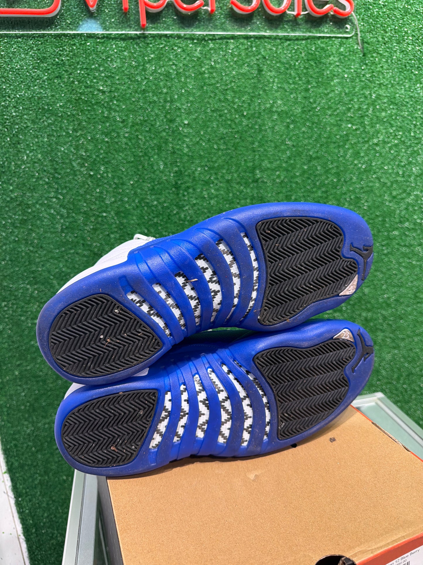 Air Jordan 12 Blue Berry (USED)