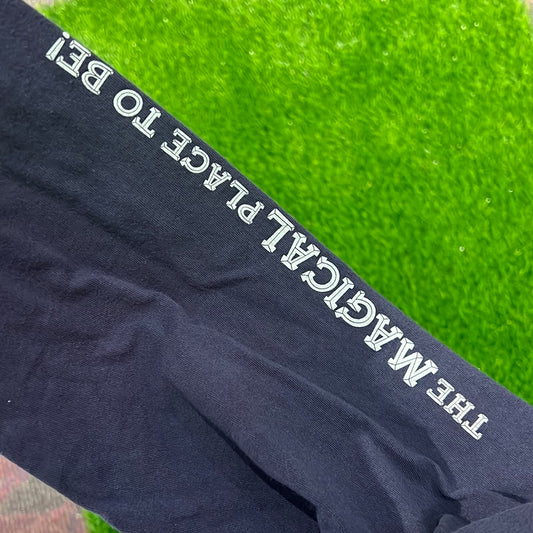 2003 Walt Disney world