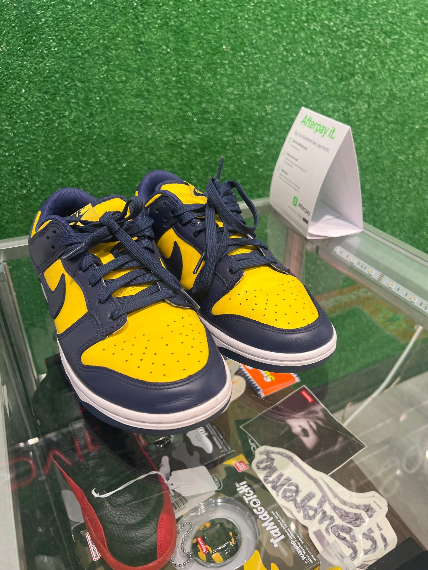 Nike Dunk Low Michigan (USED)