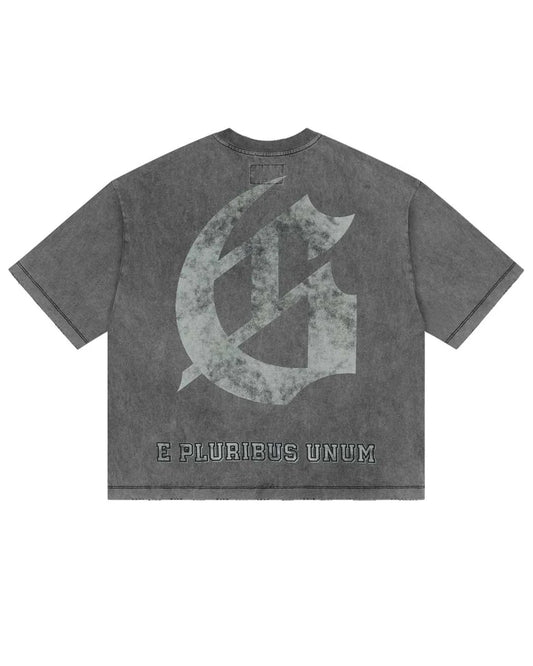 God Speed Collegiate Tee Grey Wash