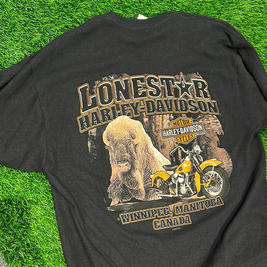 Harley Davidsons polar bear vintage tee