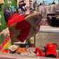 Air Jordan 5 Red Suede (USED)