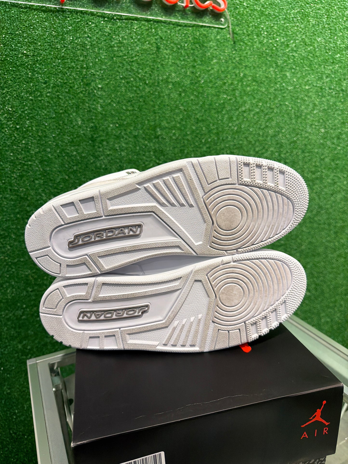 Air Jordan 3 pure money (USED)