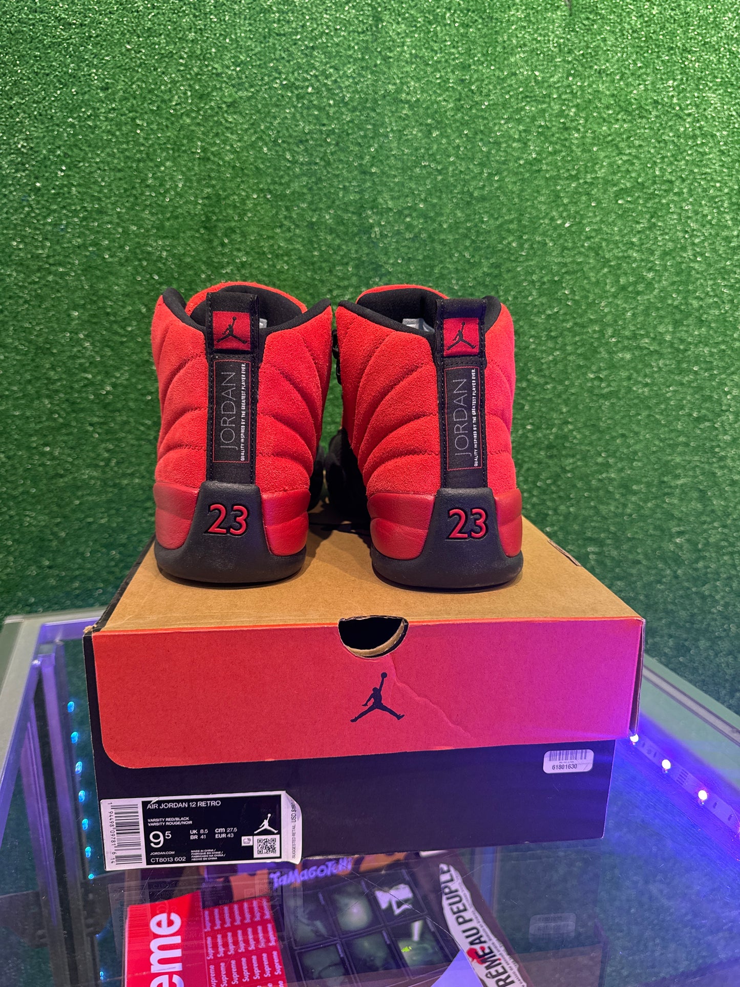 Air Jordan 12 Reverse Flu Game (USED)