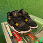 Air Jordan 4 royalty (USED)