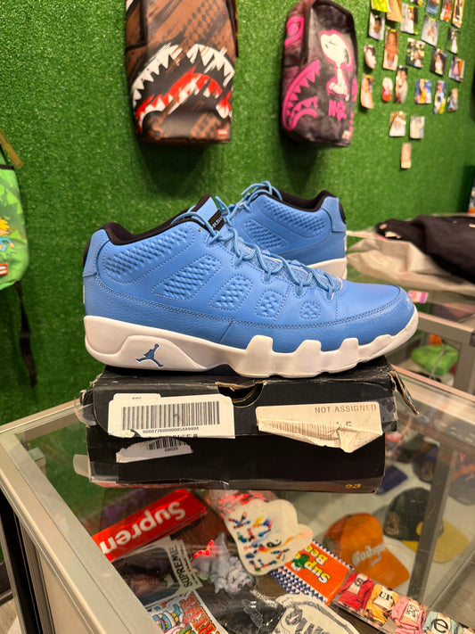 Air Jordan 9 Pantone Low (USED)