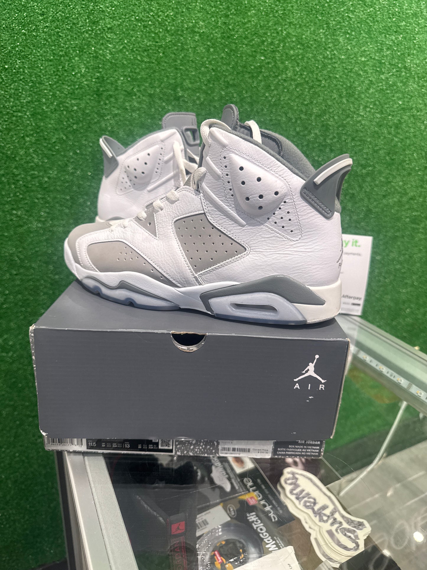 Air Jordan 6 Cool grey (USED)