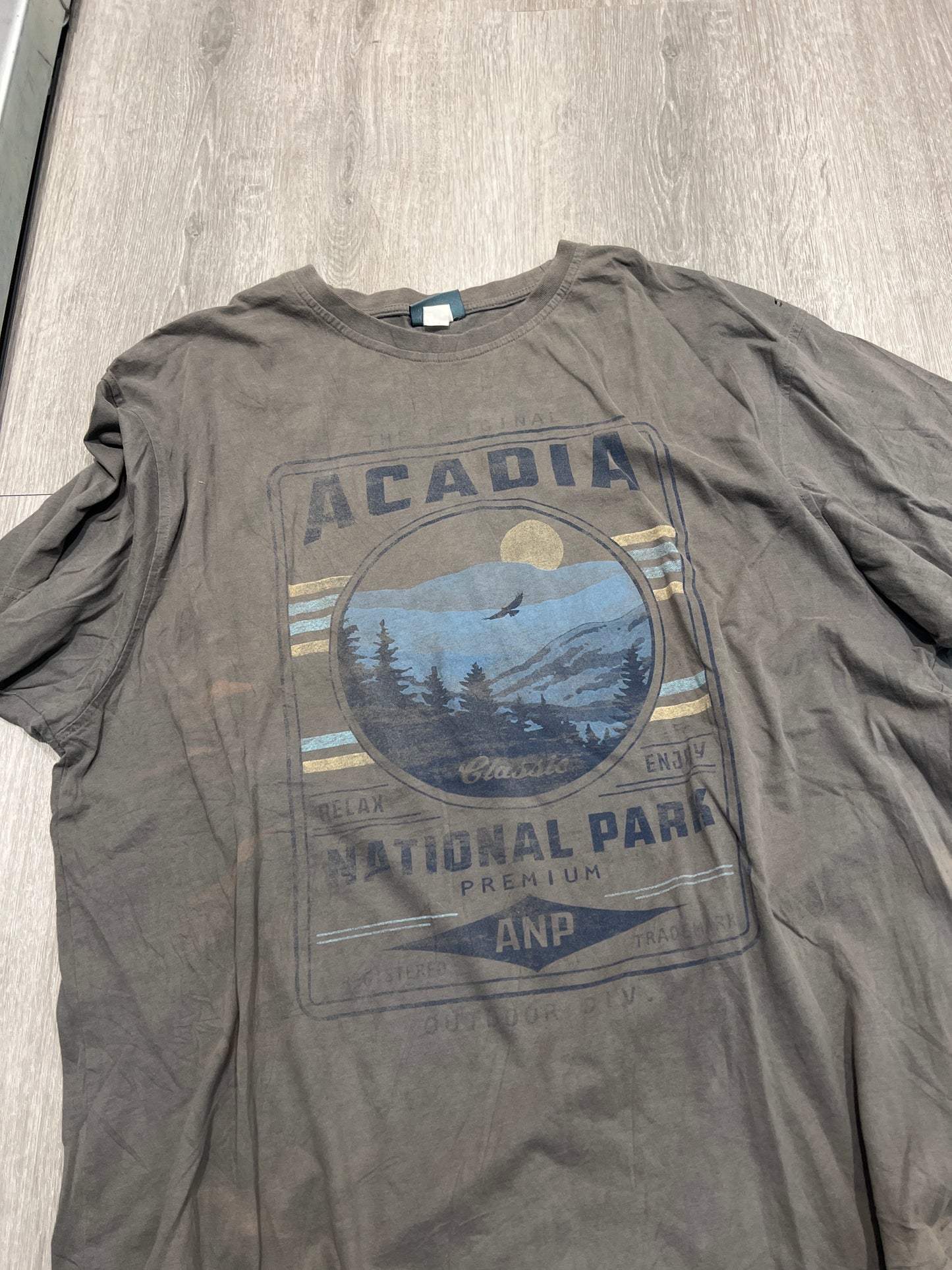 Acadia national park premium tee