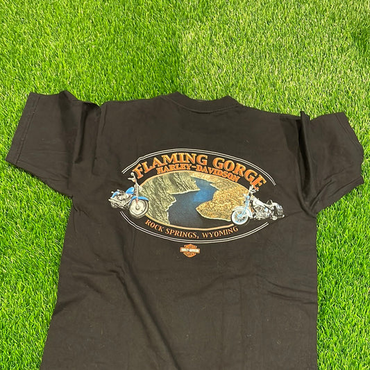 Harley Davidson Flaming Gorge Tee