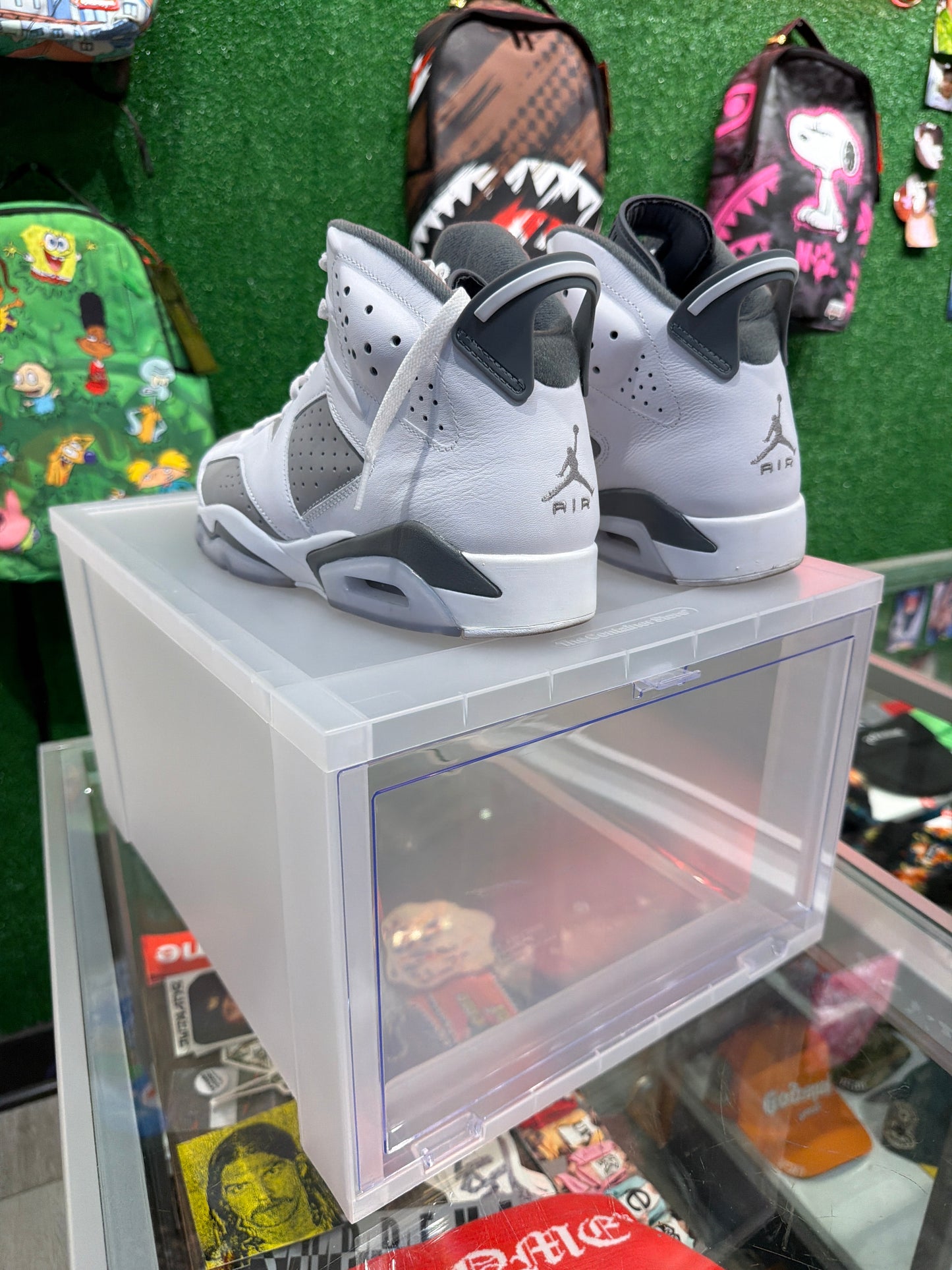 Air Jordan 6 Cool grey (USED)