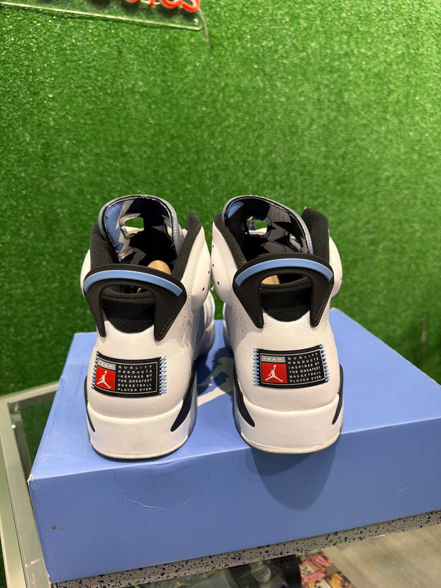 Air Jordan 6 UNC (USED)