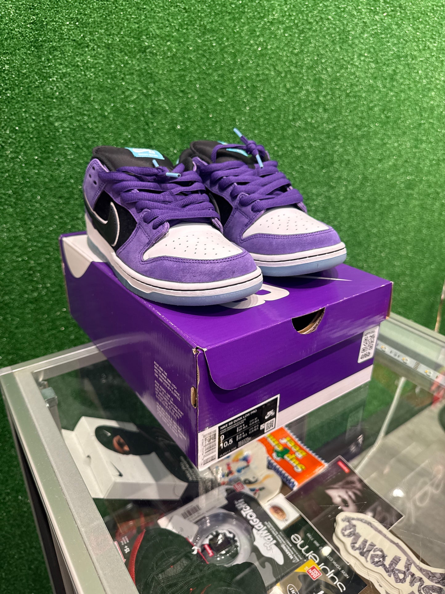 Nike SB Dunk Low "Hayley Wilson" (USED)