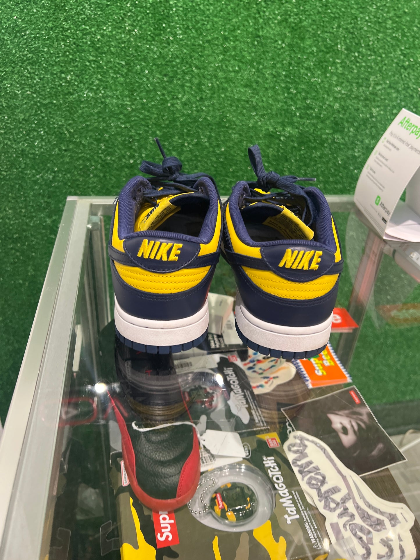 Nike Dunk Low Michigan (USED)