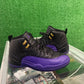 Air Jordan 12 Field Purple