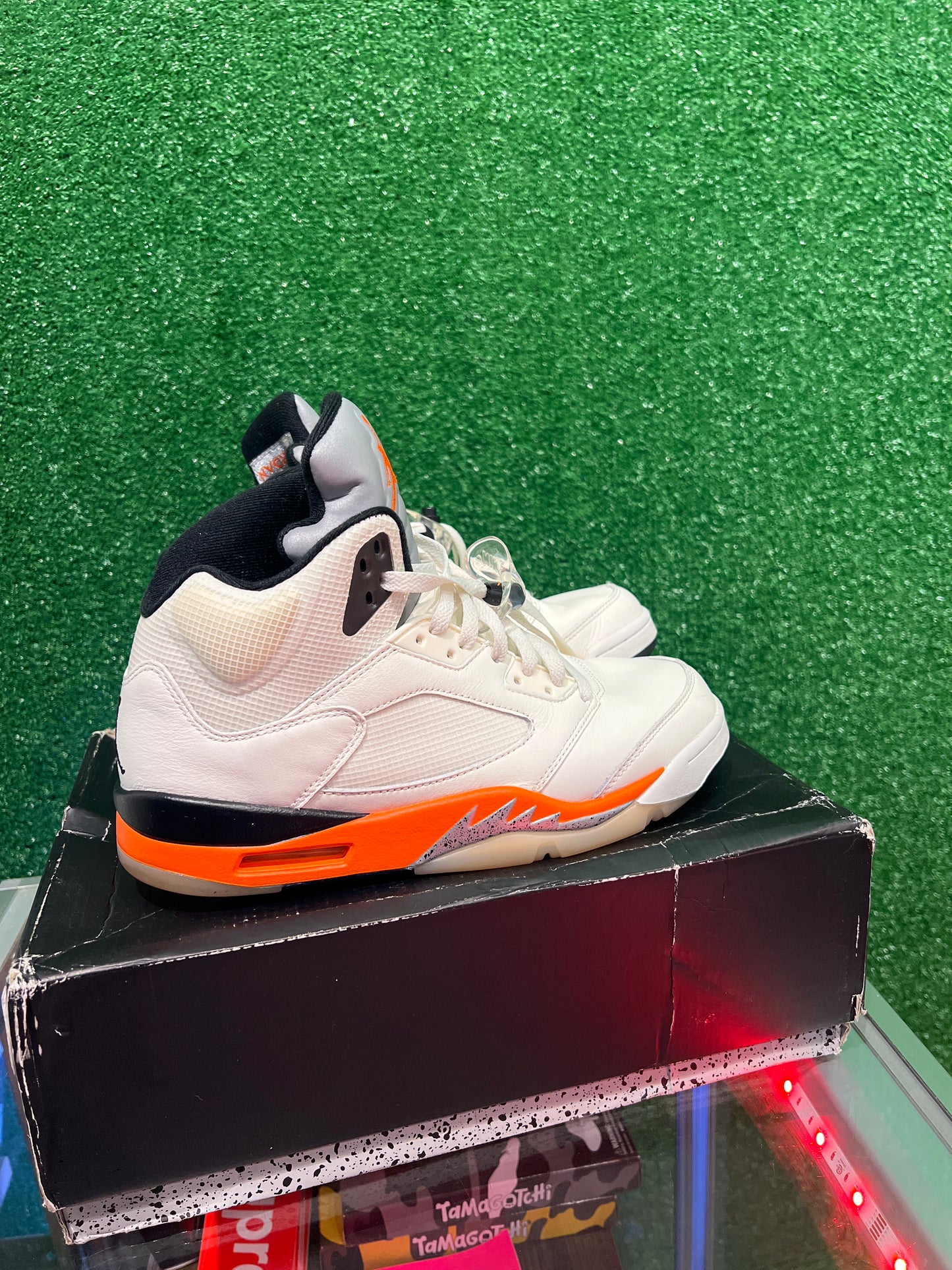 Air Jordan 5 Shattered Backboard (USED)
