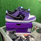 Nike SB Dunk Low "Hayley Wilson" (USED)