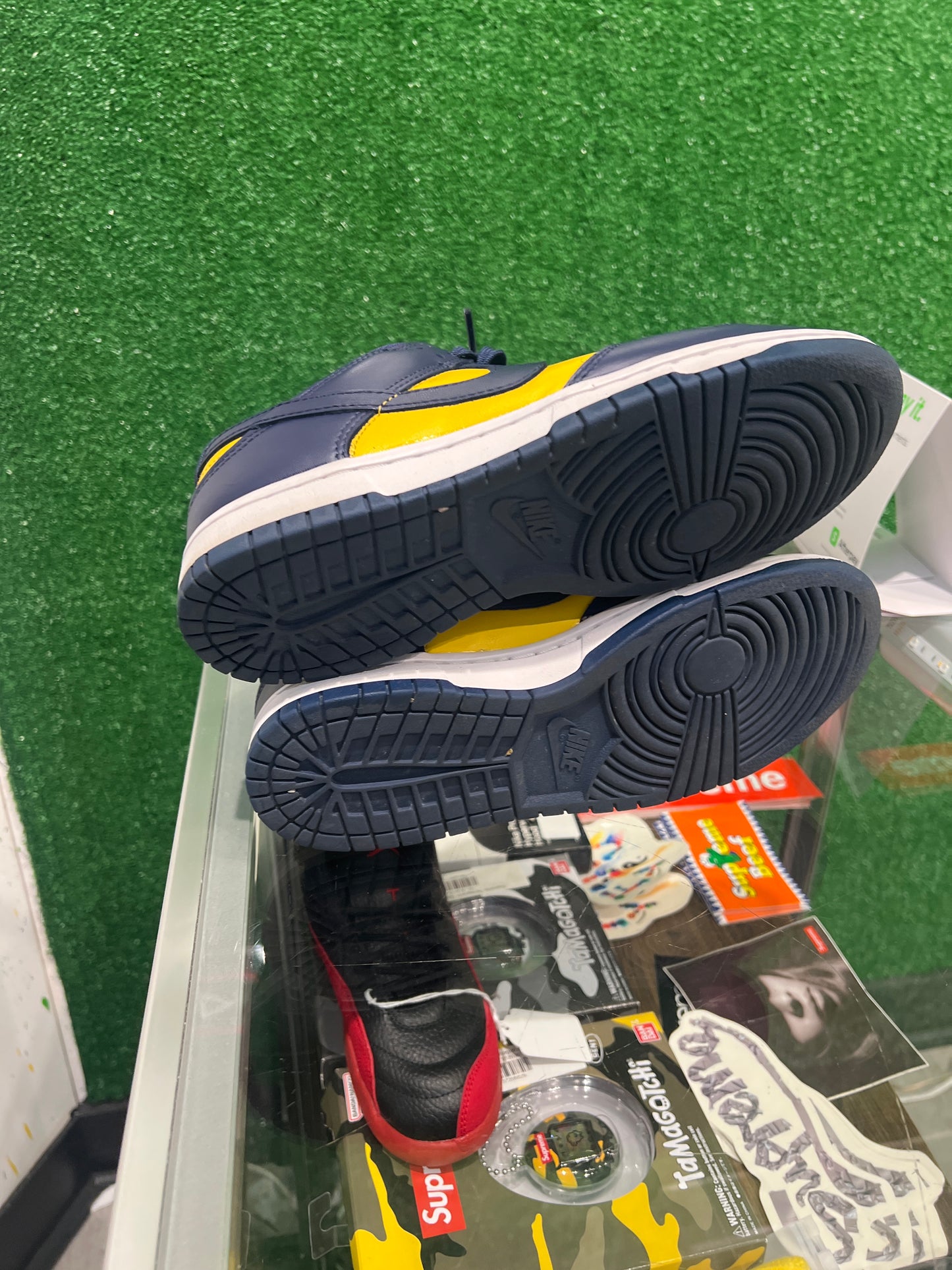 Nike Dunk Low Michigan (USED)