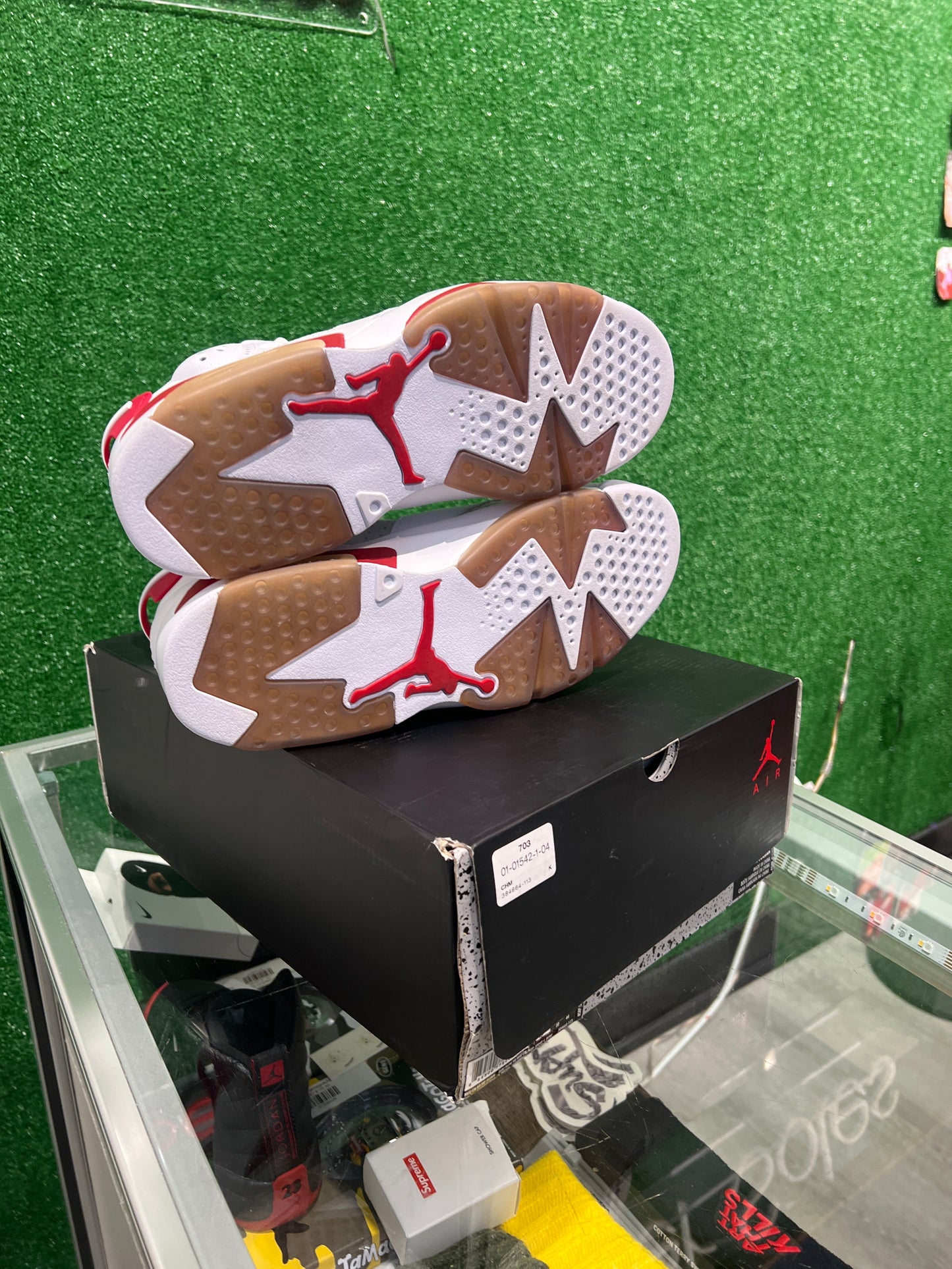 Air Jordan 6 Alternate Hare (USED)