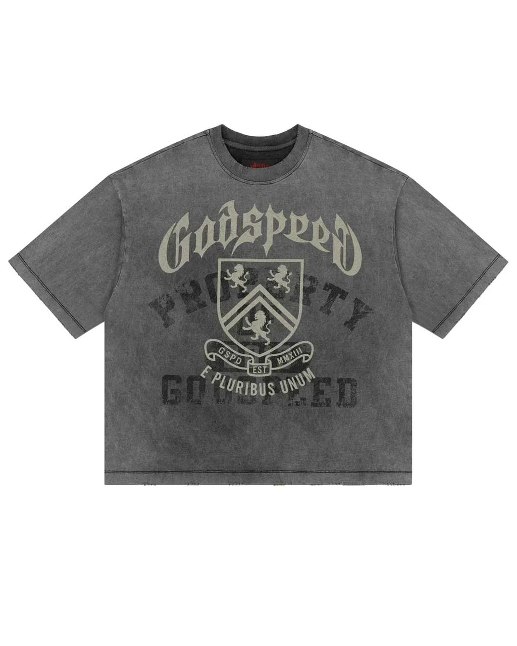 God Speed Collegiate Tee Grey Wash