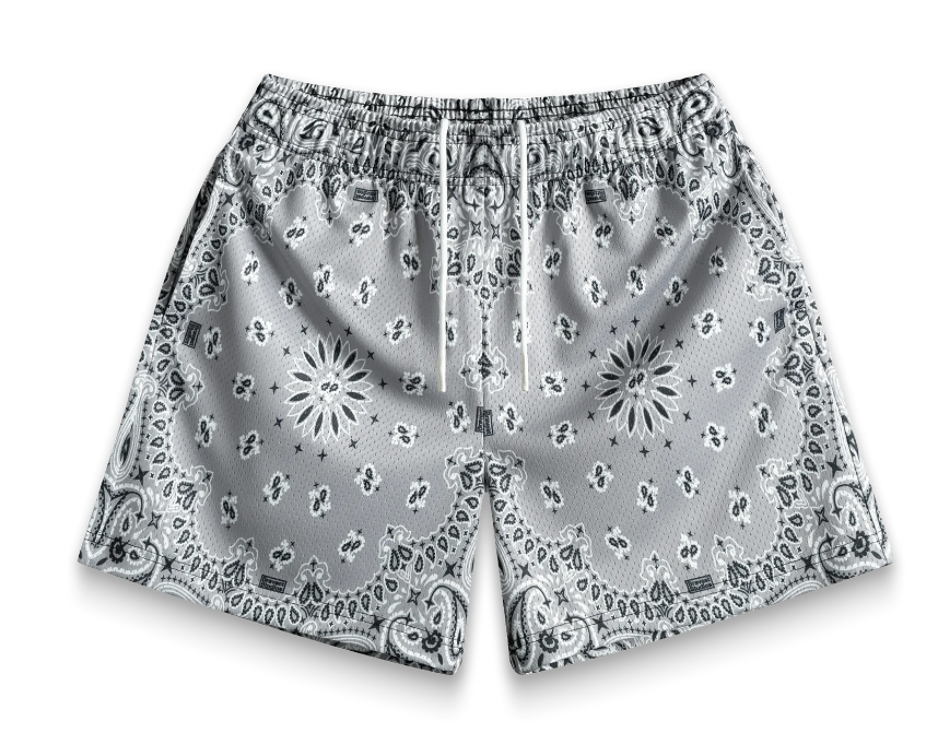 Bravest Studios Grey Paisley V2 Shorts