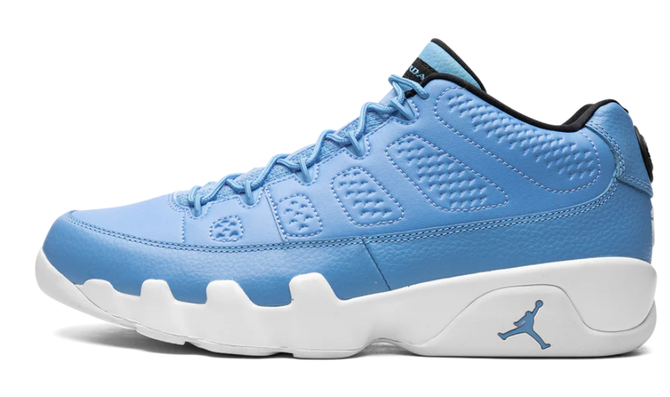 Air Jordan 9 Pantone Low (USED)